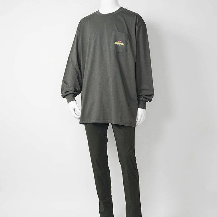 THE NORTH FACE メンズ 長袖Tシャツ EXPEDITION CELEBRATION OVERSIZED LONG SLEEVE T SHIRT NF0A8E3D 2カラー