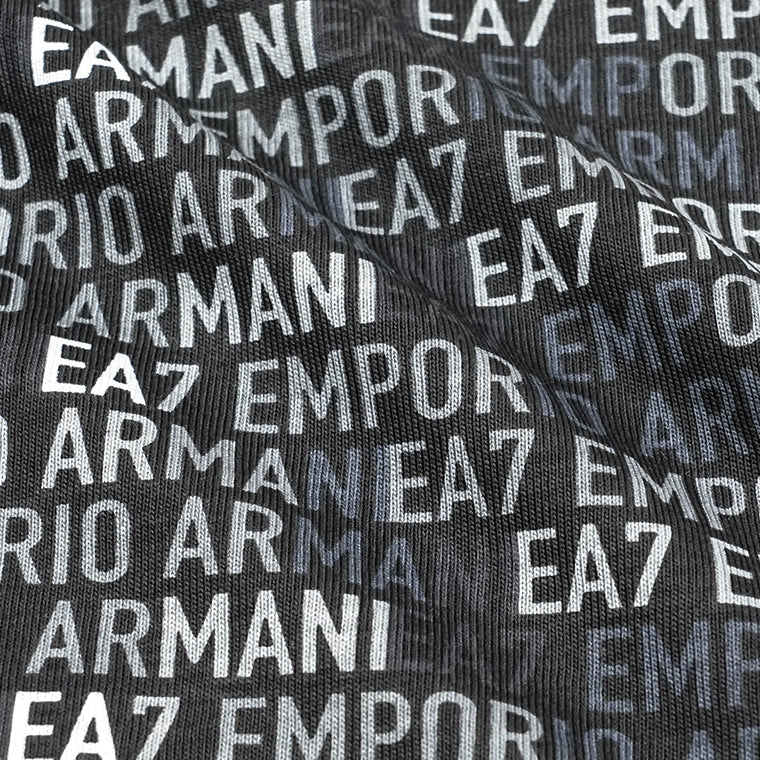 EMPORIO ARMANI EA7 メンズ Tシャツ 7M000208 AF12874 2カラー
