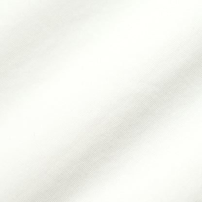【2026SS SUMMER SALE】DIESEL メンズ Tシャツ T BOGGY V6 A22505 0WICU 2カラー