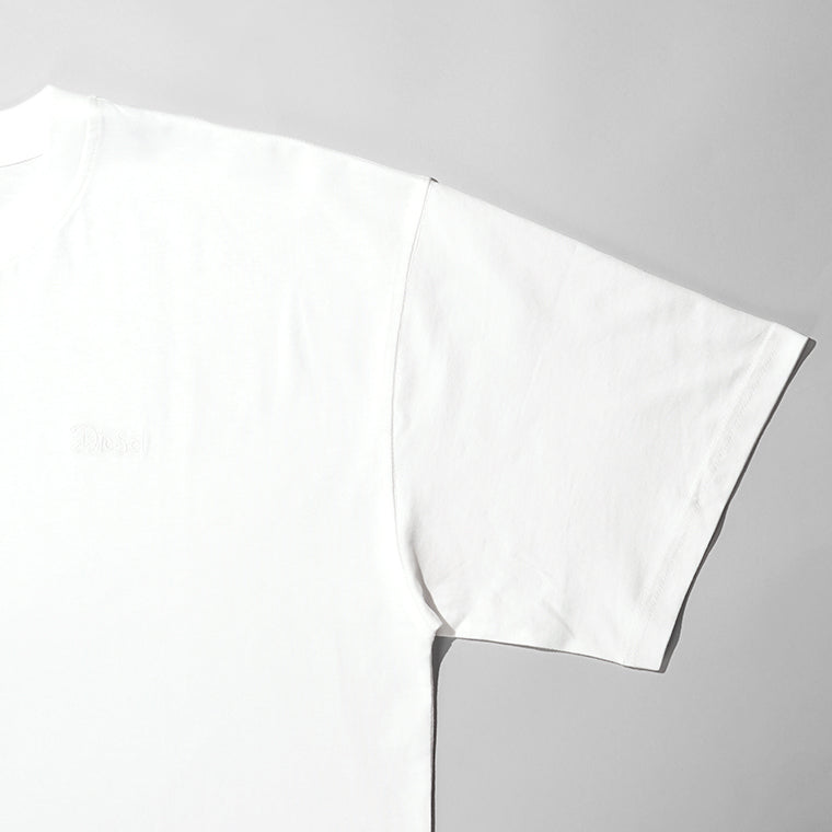【SUMMER FINAL SALE】DIESEL メンズ Tシャツ T BOXT V15 A22509 0QIAM 2カラー