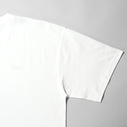 【SUMMER FINAL SALE】DIESEL メンズ Tシャツ T BOXT V15 A22509 0QIAM 2カラー
