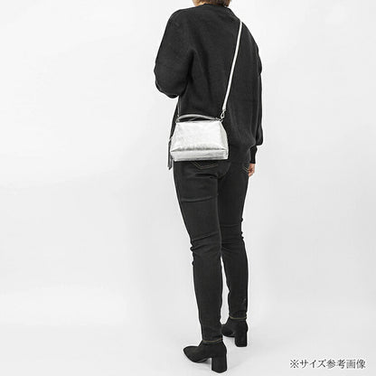 GIANNI CHIARINI レディース ショルダーバッグ ALIFA S BS8145 VNCMET ARGENTO 359