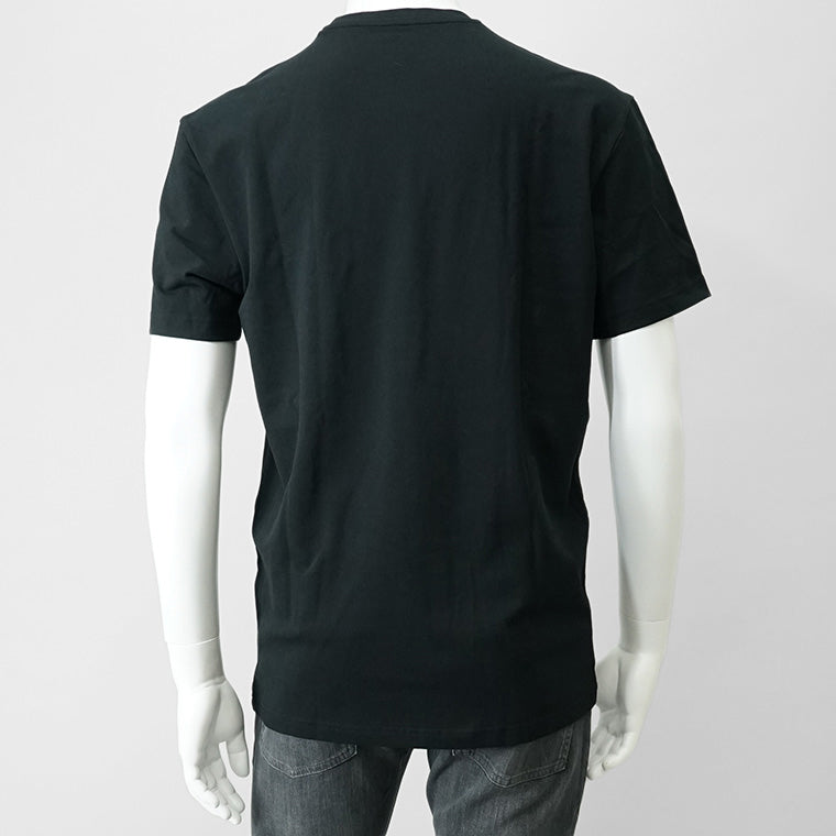 EMPORIO ARMANI UNDERWEAR ライン メンズ Tシャツ EM000379 AF10785 2カラー