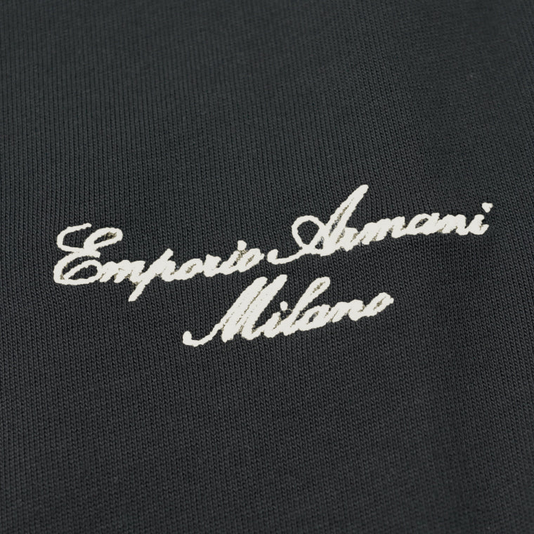 EMPORIO ARMANI メンズ Tシャツ EM001060 AF13715 2カラー