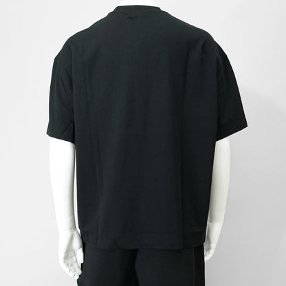 EMPORIO ARMANI メンズ Tシャツ EM001060 AF13715 2カラー