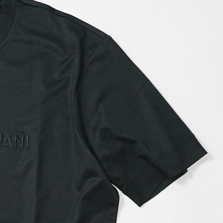 EMPORIO ARMANI メンズ Tシャツ EM001070 AF13747 2カラー