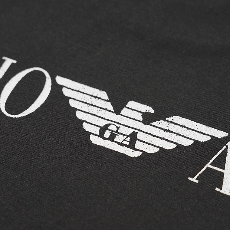 【2026SS SUMMER SALE】EMPORIO ARMANI メンズ Tシャツ EM005737 AF24470 2カラー