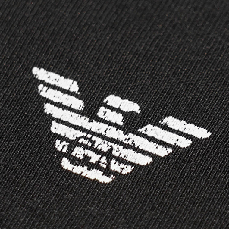【2026SS SUMMER SALE】EMPORIO ARMANI メンズ Tシャツ EM005737 AF24470 2カラー