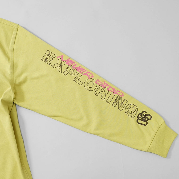 【SUMMER FINAL SALE】 THE NORTH FACE メンズ 長袖Tシャツ LS NSE OVERSIZED TEE NF0A8C3Z 2カラー