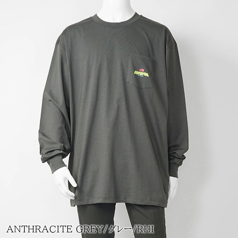 THE NORTH FACE メンズ 長袖Tシャツ EXPEDITION CELEBRATION OVERSIZED LONG SLEEVE T SHIRT NF0A8E3D 2カラー