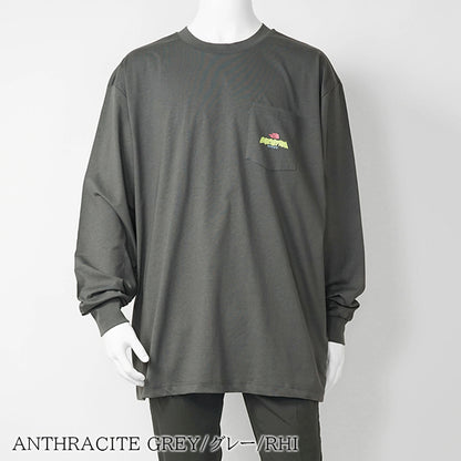 THE NORTH FACE メンズ 長袖Tシャツ EXPEDITION CELEBRATION OVERSIZED LONG SLEEVE T SHIRT NF0A8E3D 2カラー