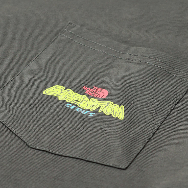THE NORTH FACE メンズ 長袖Tシャツ EXPEDITION CELEBRATION OVERSIZED LONG SLEEVE T SHIRT NF0A8E3D 2カラー