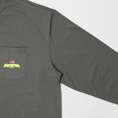 THE NORTH FACE メンズ 長袖Tシャツ EXPEDITION CELEBRATION OVERSIZED LONG SLEEVE T SHIRT NF0A8E3D 2カラー