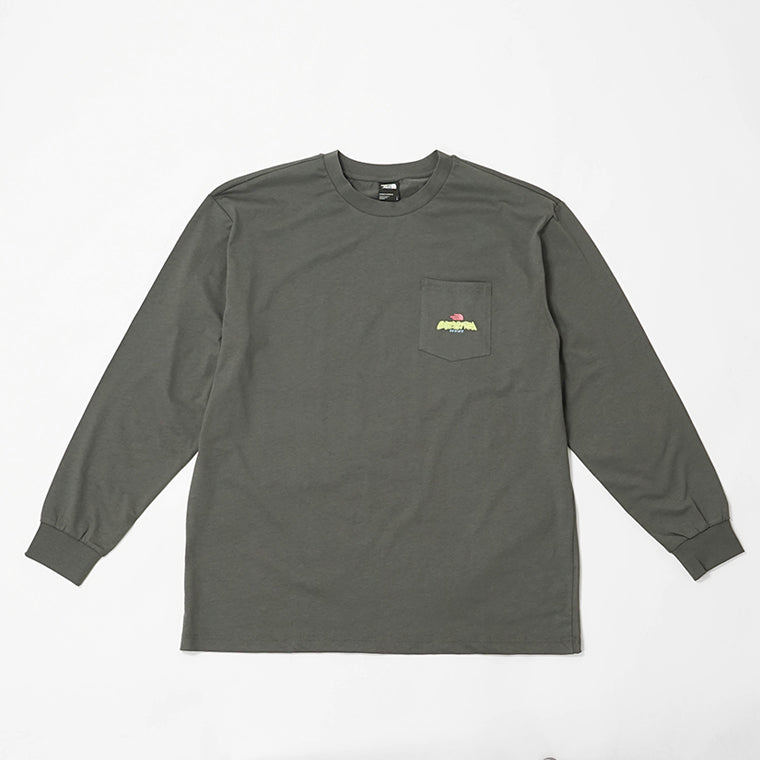 THE NORTH FACE メンズ 長袖Tシャツ EXPEDITION CELEBRATION OVERSIZED LONG SLEEVE T SHIRT NF0A8E3D 2カラー