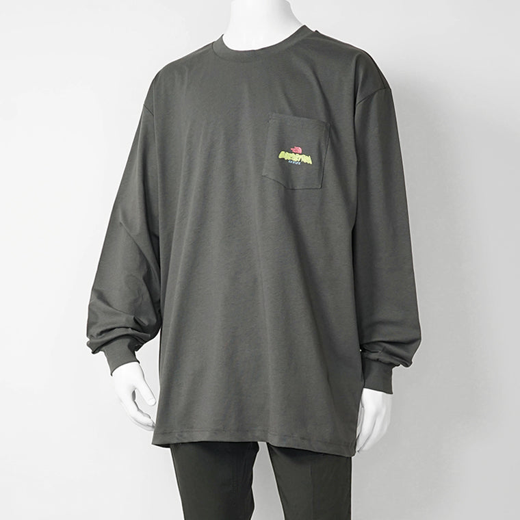 THE NORTH FACE メンズ 長袖Tシャツ EXPEDITION CELEBRATION OVERSIZED LONG SLEEVE T SHIRT NF0A8E3D 2カラー