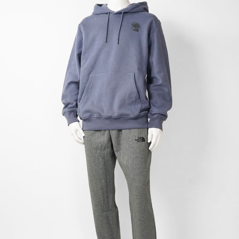 THE NORTH FACE メンズ パーカー UNISEX POWDER DAYS RELAXED GRAPHIC HOODIE NF0A8E4G 2カラー