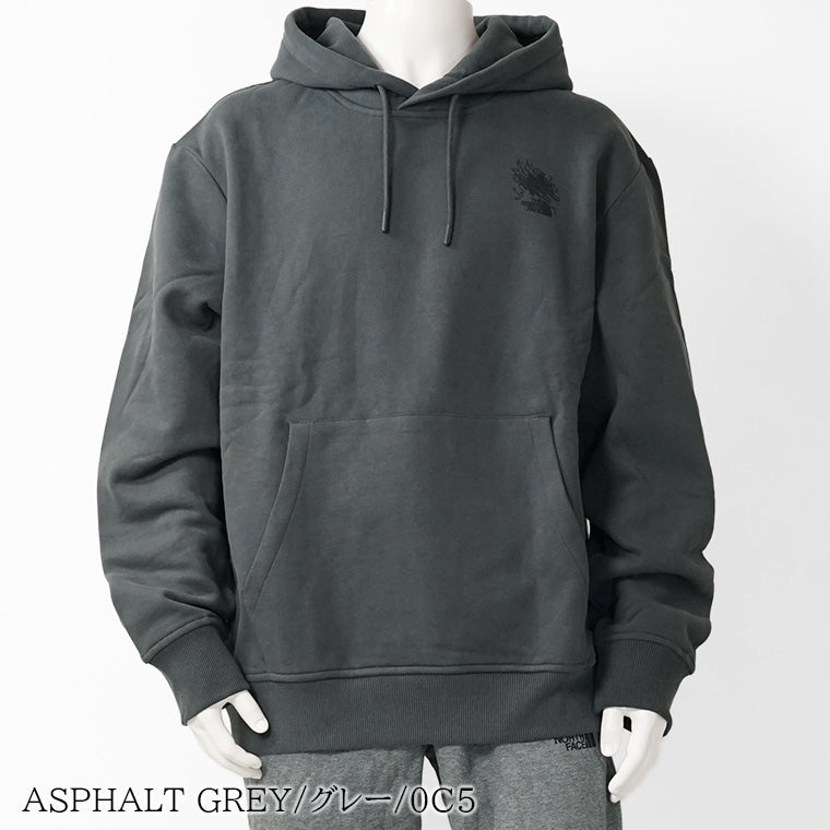 THE NORTH FACE メンズ パーカー UNISEX POWDER DAYS RELAXED GRAPHIC HOODIE NF0A8E4G 2カラー