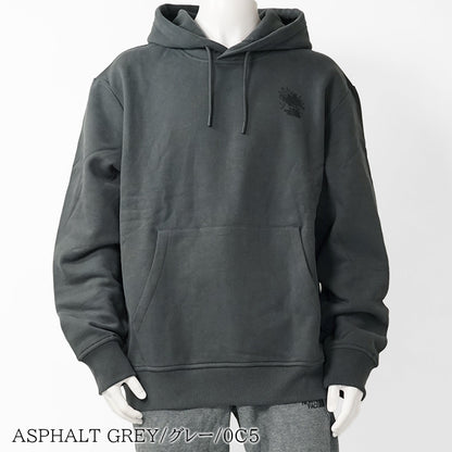THE NORTH FACE メンズ パーカー UNISEX POWDER DAYS RELAXED GRAPHIC HOODIE NF0A8E4G 2カラー