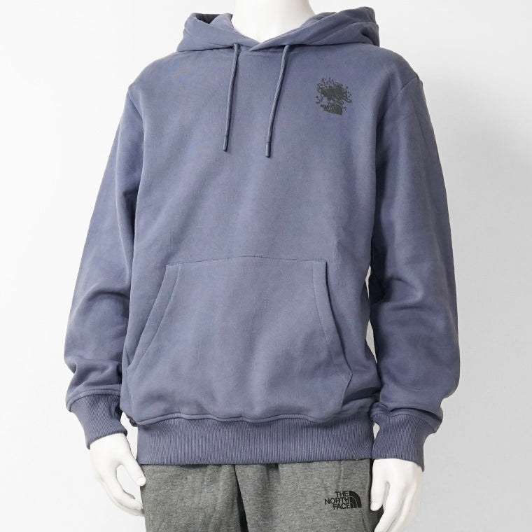 THE NORTH FACE メンズ パーカー UNISEX POWDER DAYS RELAXED GRAPHIC HOODIE NF0A8E4G 2カラー