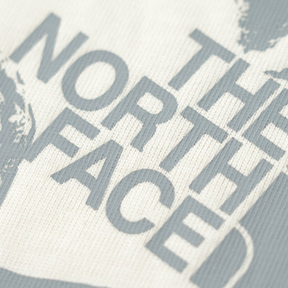 THE NORTH FACE メンズ Tシャツ STONES RELAXED GRAPHIC T SHIRT NF0A8G9R WHITE DUNE ホワイト系 QLI