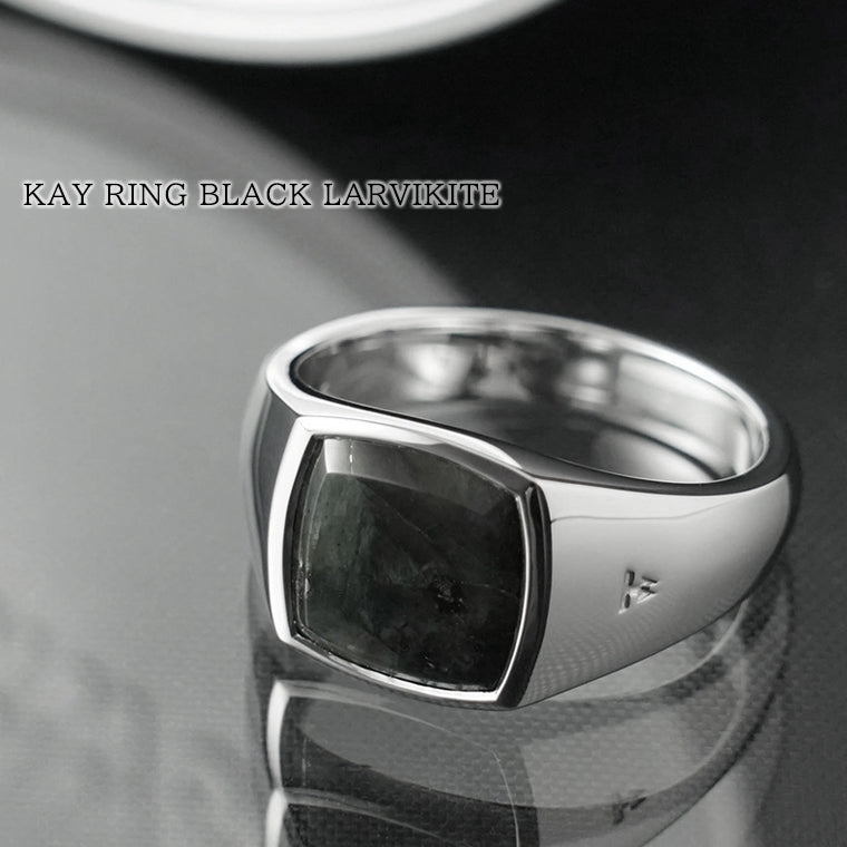 TOM WOOD メンズ リング KAY RING BLACK LARVIKITE 101486 シルバー