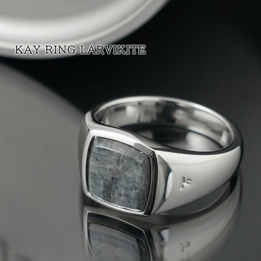 TOM WOOD メンズ リング KAY RING LARVIKITE 101505 シルバー